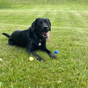 Meet your Posher, Leigh